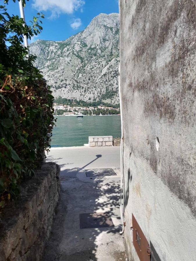 Apartment Lima Kotor Ngoại thất bức ảnh