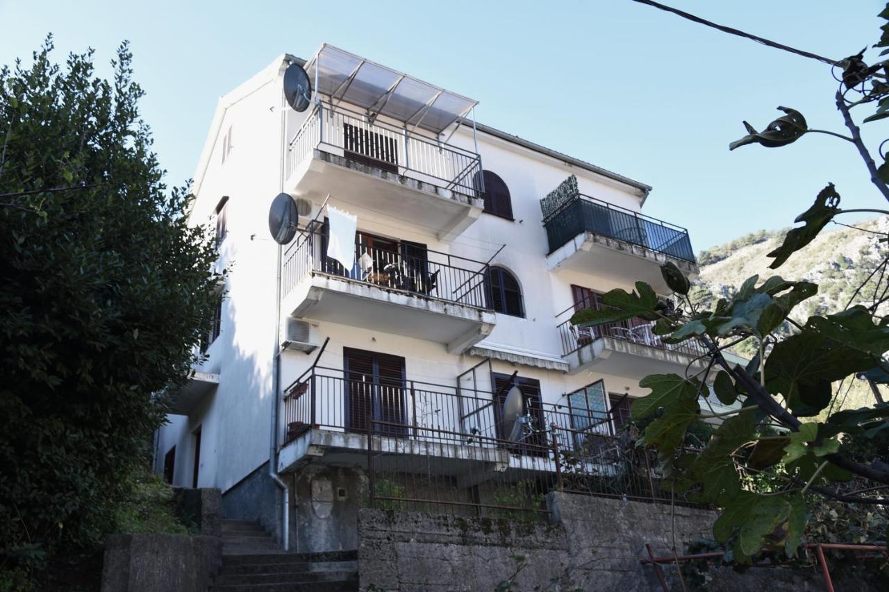 Apartment Lima Kotor Ngoại thất bức ảnh